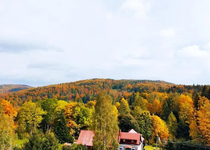 Koralowa Sciezka